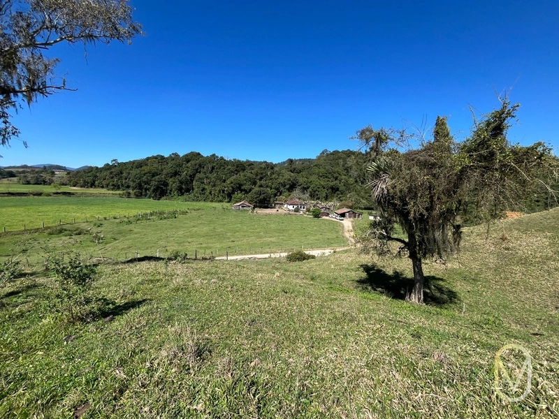 Terreno de 41 hectares á Venda em São Martinho-SC: 34ª foto da galeria de imagens do imóvel
