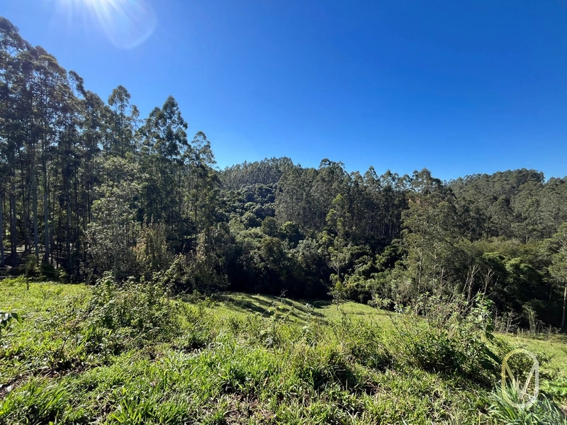 Terreno de 41 hectares á Venda em São Martinho-SC: 39ª foto da galeria de imagens do imóvel
