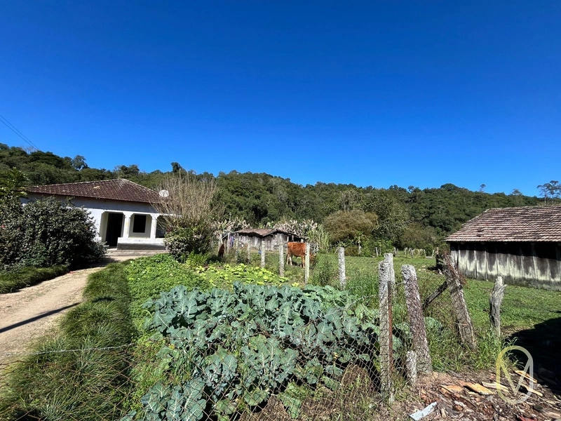 Terreno de 41 hectares á Venda em São Martinho-SC: 17ª foto da galeria de imagens do imóvel
