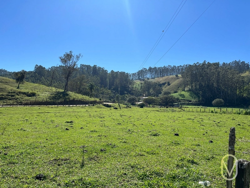 Terreno de 41 hectares á Venda em São Martinho-SC: 20ª foto da galeria de imagens do imóvel