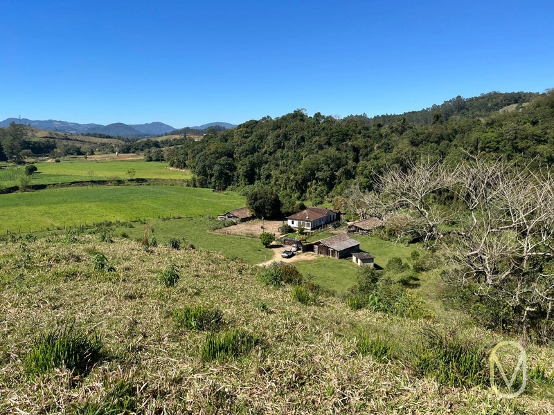 Terreno de 41 hectares á Venda em São Martinho-SC: 31ª foto da galeria de imagens do imóvel