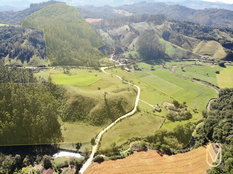 Terreno de 41 hectares á Venda em São Martinho-SC: 3ª foto da galeria de imagens do imóvel