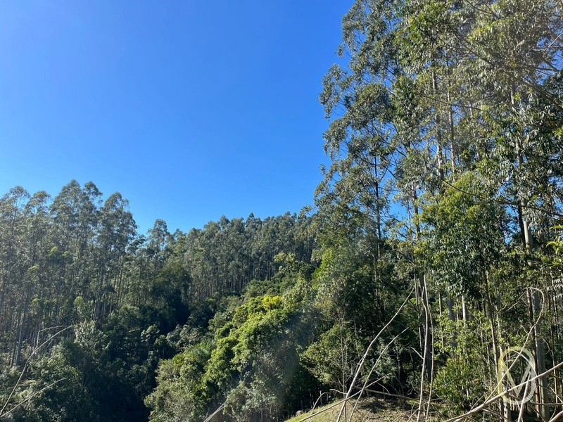 Terreno de 41 hectares á Venda em São Martinho-SC: 43ª foto da galeria de imagens do imóvel