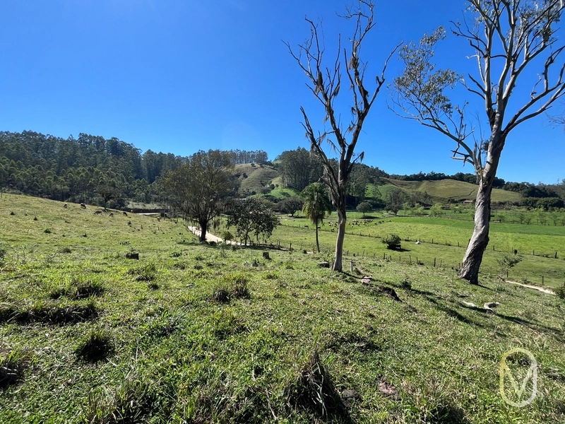 Terreno de 41 hectares á Venda em São Martinho-SC: 35ª foto da galeria de imagens do imóvel