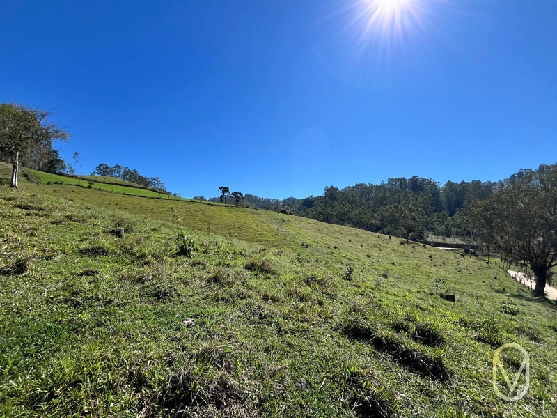 Terreno de 41 hectares á Venda em São Martinho-SC: 37ª foto da galeria de imagens do imóvel