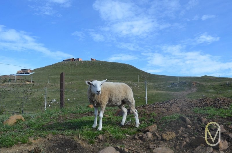 Lote a Venda no Condomínio Altos da Serra em Bom Jardim-SC: 57ª foto da galeria de imagens do imóvel