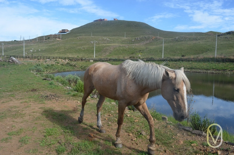 Lote a Venda no Condomínio Altos da Serra em Bom Jardim-SC: 60ª foto da galeria de imagens do imóvel