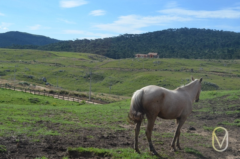 Lote a Venda no Condomínio Altos da Serra em Bom Jardim-SC: 44ª foto da galeria de imagens do imóvel