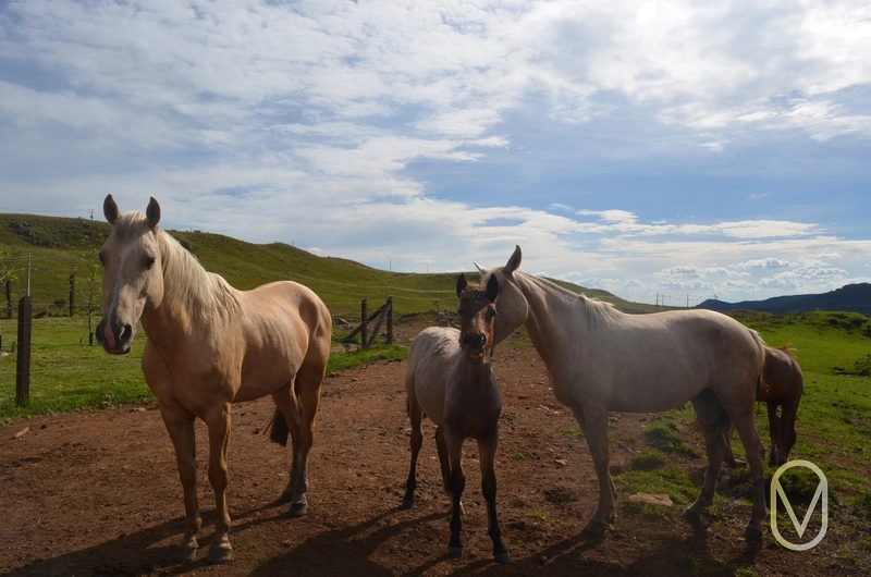 Lote a Venda no Condomínio Altos da Serra em Bom Jardim-SC: 45ª foto da galeria de imagens do imóvel