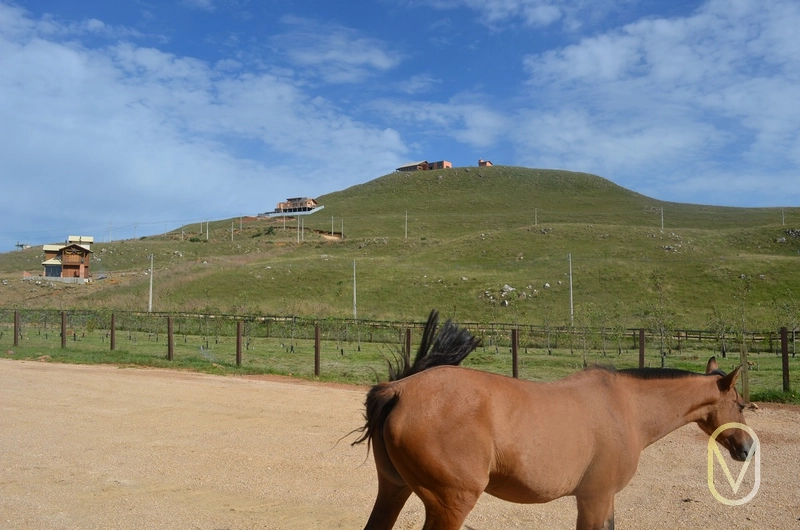 Lote a Venda no Condomínio Altos da Serra em Bom Jardim-SC: 46ª foto da galeria de imagens do imóvel