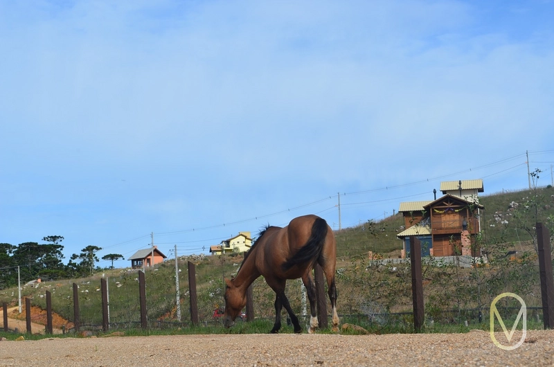 Lote a Venda no Condomínio Altos da Serra em Bom Jardim-SC: 54ª foto da galeria de imagens do imóvel