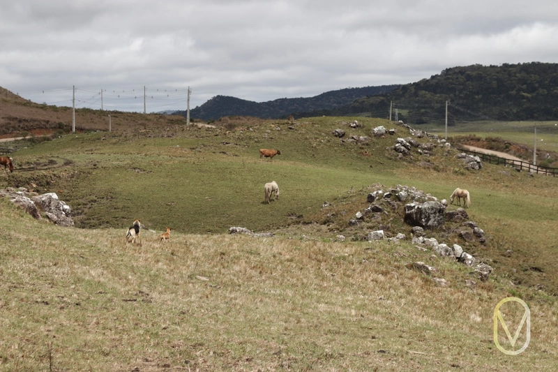 Lote a Venda no Condomínio Altos da Serra em Bom Jardim-SC: 77ª foto da galeria de imagens do imóvel