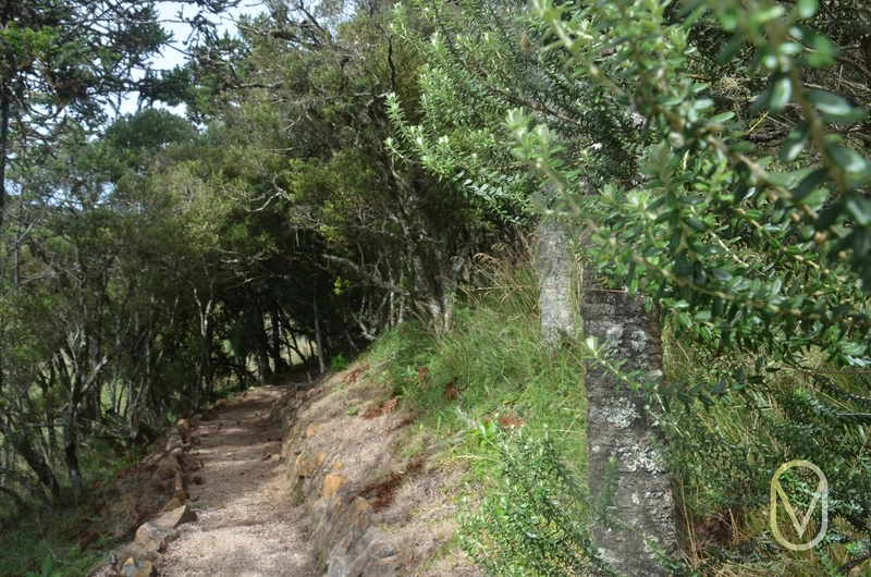 Lote a Venda no Condomínio Altos da Serra em Bom Jardim-SC: 32ª foto da galeria de imagens do imóvel