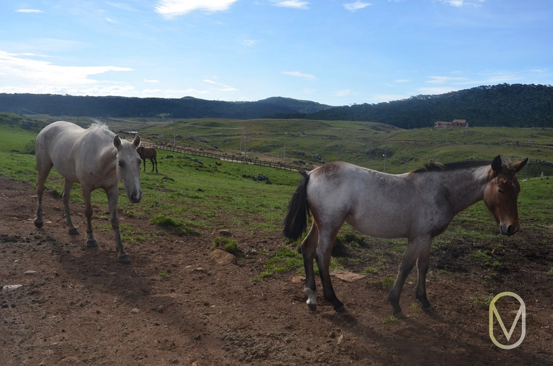 Lote a Venda no Condomínio Altos da Serra em Bom Jardim-SC: 56ª foto da galeria de imagens do imóvel