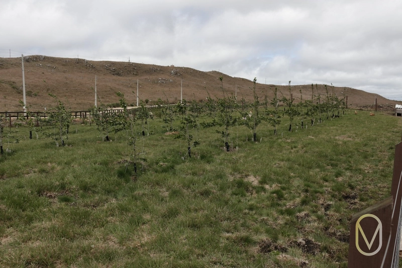 Lote a Venda no Condomínio Altos da Serra em Bom Jardim-SC: 76ª foto da galeria de imagens do imóvel