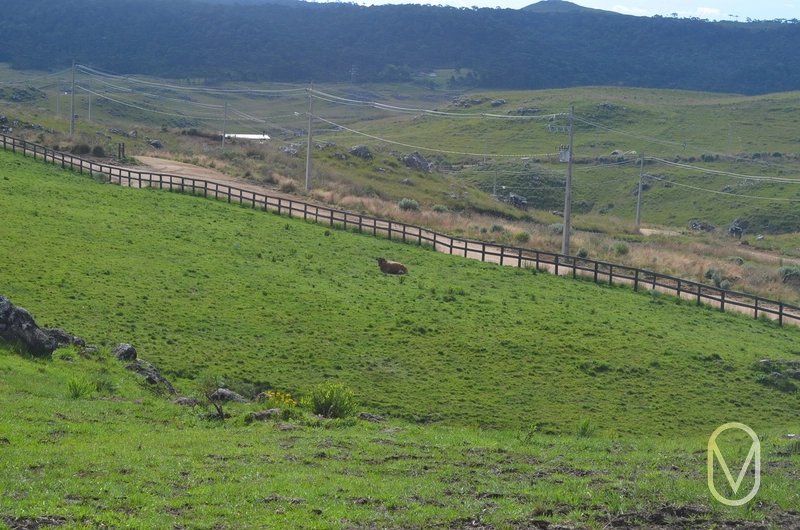 Lote a Venda no Condomínio Altos da Serra em Bom Jardim-SC: 47ª foto da galeria de imagens do imóvel