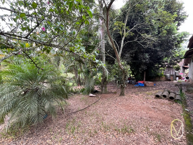 Terreno de 2 hectares á Venda no bairro Alemanha em Armazém-SC: 13ª foto da galeria de imagens do imóvel
