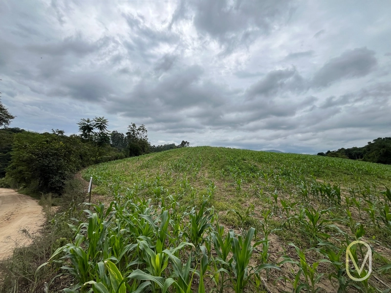 Terreno de 2 hectares á Venda no bairro Alemanha em Armazém-SC: 26ª foto da galeria de imagens do imóvel