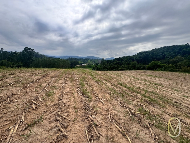 Terreno de 2 hectares á Venda no bairro Alemanha em Armazém-SC: 4ª foto da galeria de imagens do imóvel