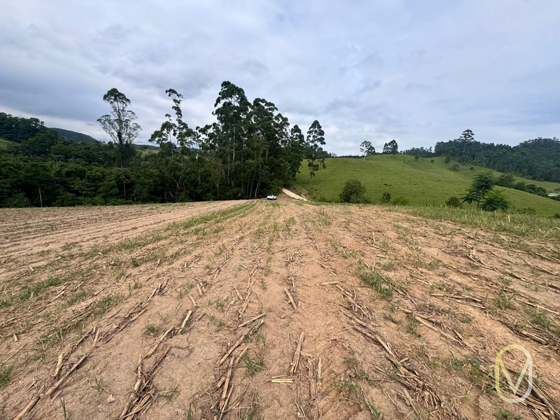 Terreno de 2 hectares á Venda no bairro Alemanha em Armazém-SC: 5ª foto da galeria de imagens do imóvel