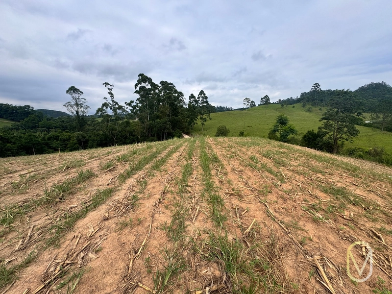 Terreno de 2 hectares á Venda no bairro Alemanha em Armazém-SC: 9ª foto da galeria de imagens do imóvel