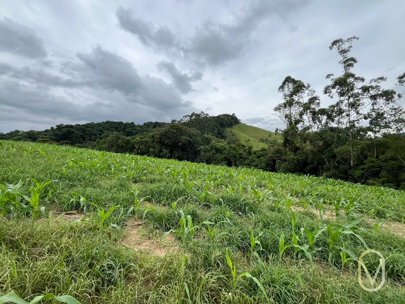 Terreno de 2 hectares á Venda no bairro Alemanha em Armazém-SC: 28ª foto da galeria de imagens do imóvel