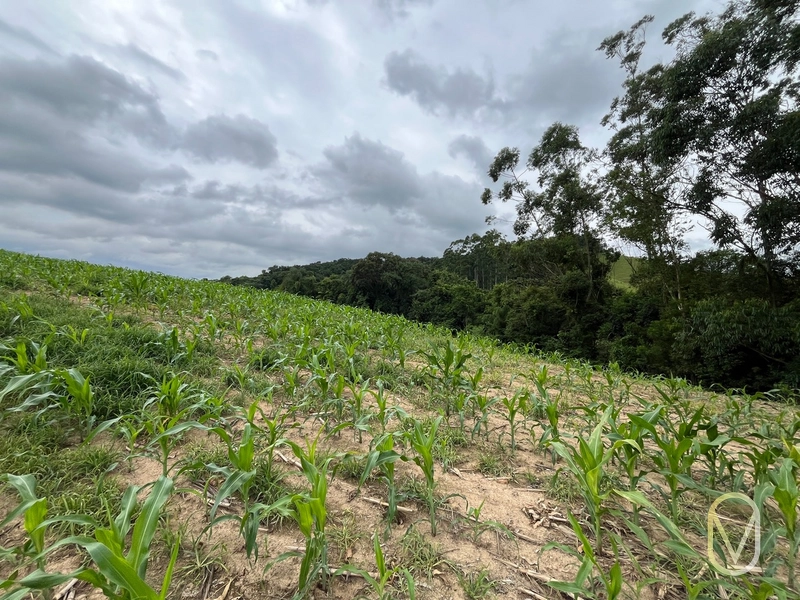 Terreno de 2 hectares á Venda no bairro Alemanha em Armazém-SC: 27ª foto da galeria de imagens do imóvel