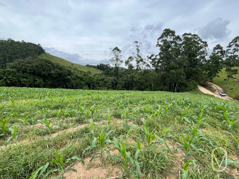 Terreno de 2 hectares á Venda no bairro Alemanha em Armazém-SC: 30ª foto da galeria de imagens do imóvel