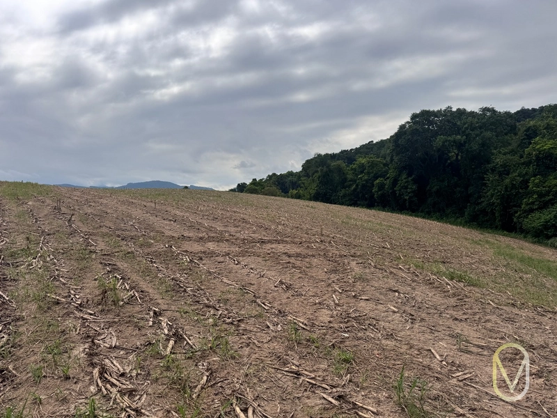 Terreno de 2 hectares á Venda no bairro Alemanha em Armazém-SC: 1ª foto da galeria de imagens do imóvel