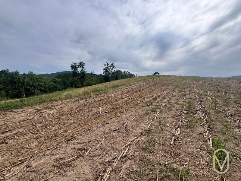 Terreno de 2 hectares á Venda no bairro Alemanha em Armazém-SC: 3ª foto da galeria de imagens do imóvel