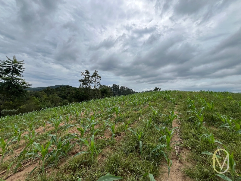 Terreno de 2 hectares á Venda no bairro Alemanha em Armazém-SC: 29ª foto da galeria de imagens do imóvel