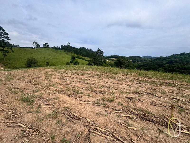 Terreno de 2 hectares á Venda no bairro Alemanha em Armazém-SC: 6ª foto da galeria de imagens do imóvel