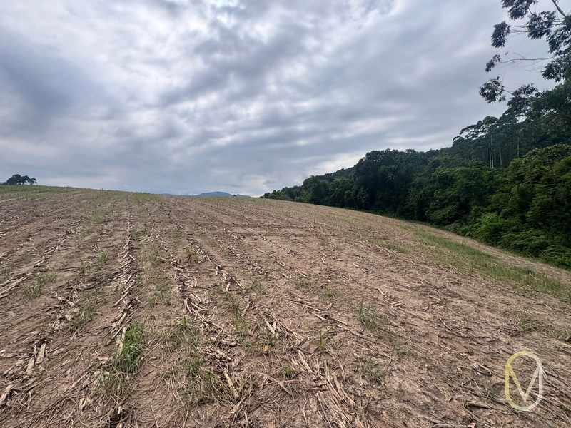 Terreno de 2 hectares á Venda no bairro Alemanha em Armazém-SC: 2ª foto da galeria de imagens do imóvel