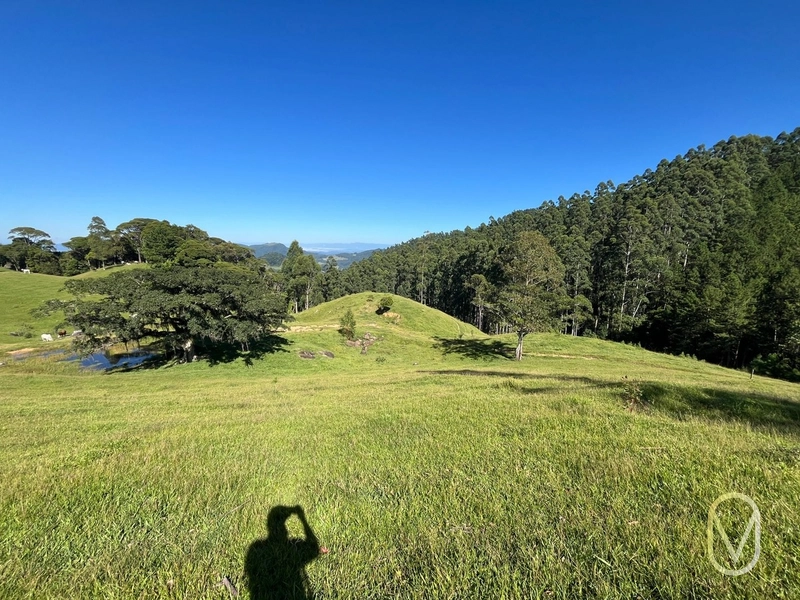 Terreno de 31 hectares á Venda em São Martinho-SC: 21ª foto da galeria de imagens do imóvel
