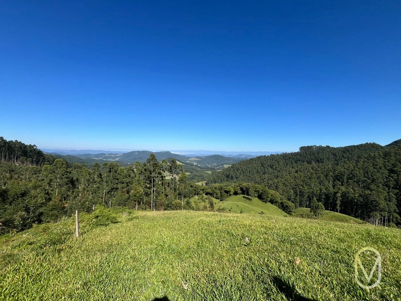 Terreno de 31 hectares á Venda em São Martinho-SC: 30ª foto da galeria de imagens do imóvel