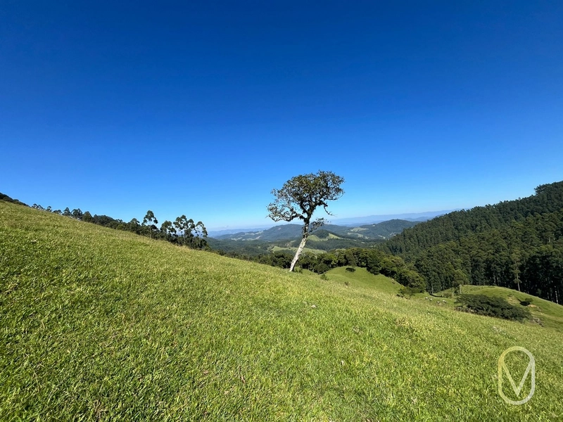 Terreno de 31 hectares á Venda em São Martinho-SC: 34ª foto da galeria de imagens do imóvel