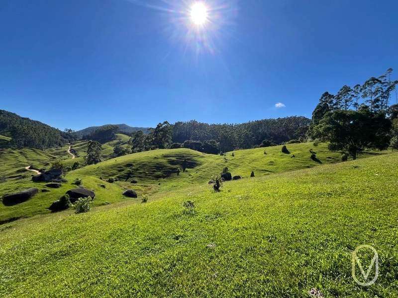 Terreno de 31 hectares á Venda em São Martinho-SC: 23ª foto da galeria de imagens do imóvel