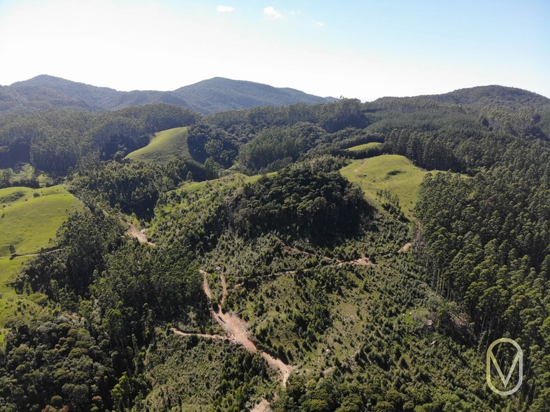 Terreno de 31 hectares á Venda em São Martinho-SC: 7ª foto da galeria de imagens do imóvel