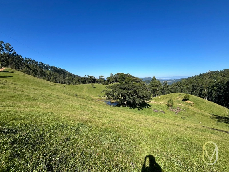 Terreno de 31 hectares á Venda em São Martinho-SC: 19ª foto da galeria de imagens do imóvel