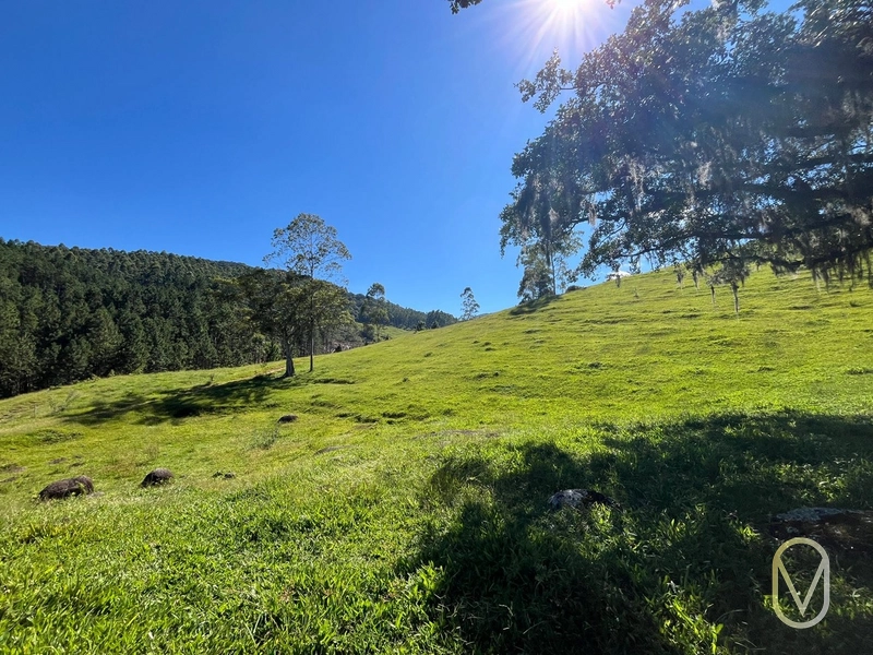 Terreno de 31 hectares á Venda em São Martinho-SC: 17ª foto da galeria de imagens do imóvel