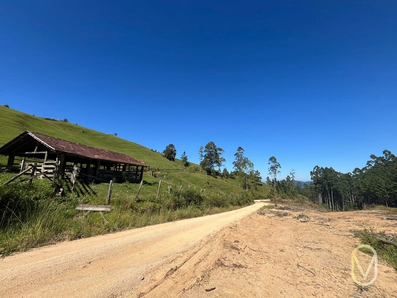 Terreno de 31 hectares á Venda em São Martinho-SC: 14ª foto da galeria de imagens do imóvel