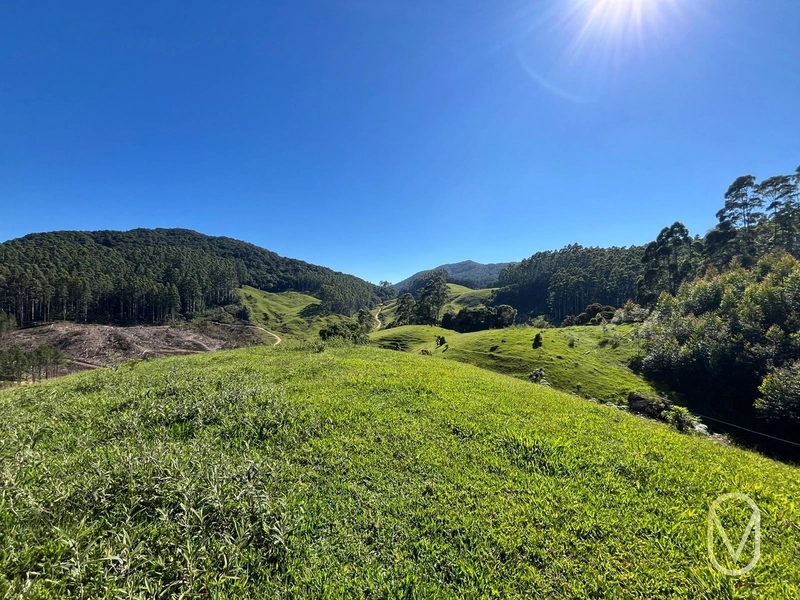Terreno de 31 hectares á Venda em São Martinho-SC: 31ª foto da galeria de imagens do imóvel