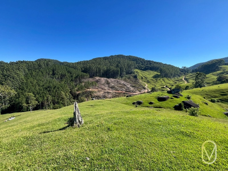 Terreno de 31 hectares á Venda em São Martinho-SC: 26ª foto da galeria de imagens do imóvel