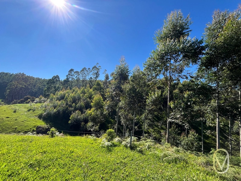 Terreno de 31 hectares á Venda em São Martinho-SC: 33ª foto da galeria de imagens do imóvel
