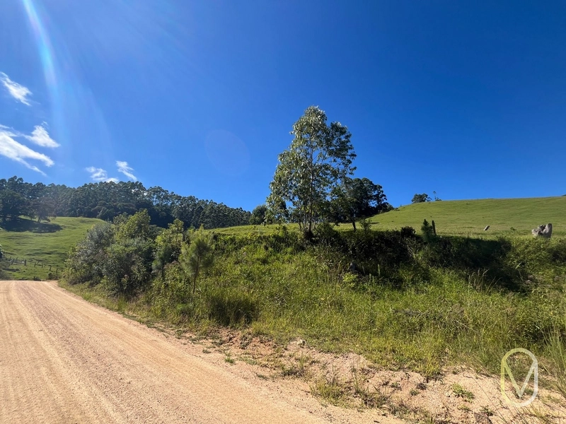 Terreno de 31 hectares á Venda em São Martinho-SC: 12ª foto da galeria de imagens do imóvel