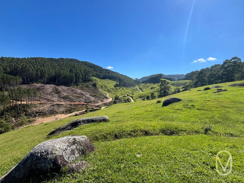 Terreno de 31 hectares á Venda em São Martinho-SC: 18ª foto da galeria de imagens do imóvel