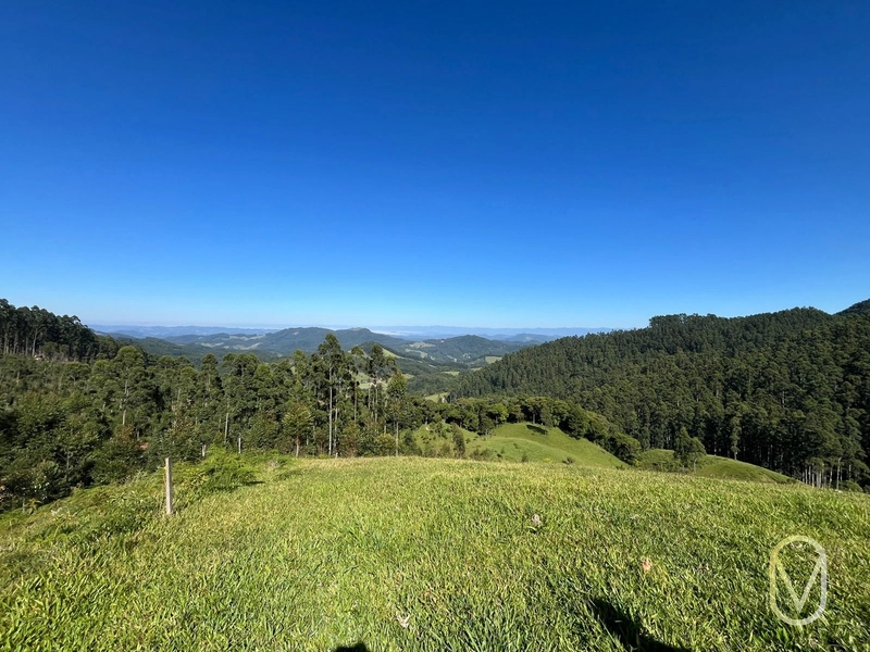 Terreno de 31 hectares á Venda em São Martinho-SC: 29ª foto da galeria de imagens do imóvel