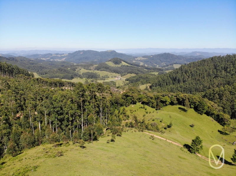 Terreno de 31 hectares á Venda em São Martinho-SC: 9ª foto da galeria de imagens do imóvel