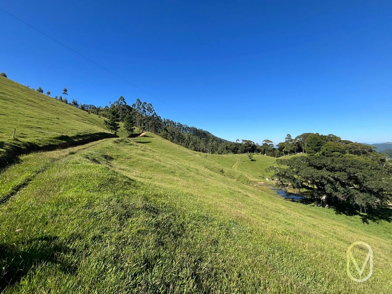 Terreno de 31 hectares á Venda em São Martinho-SC: 20ª foto da galeria de imagens do imóvel