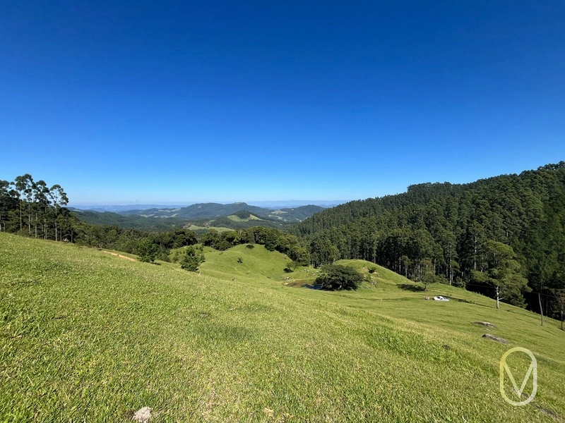Terreno de 31 hectares á Venda em São Martinho-SC: 38ª foto da galeria de imagens do imóvel